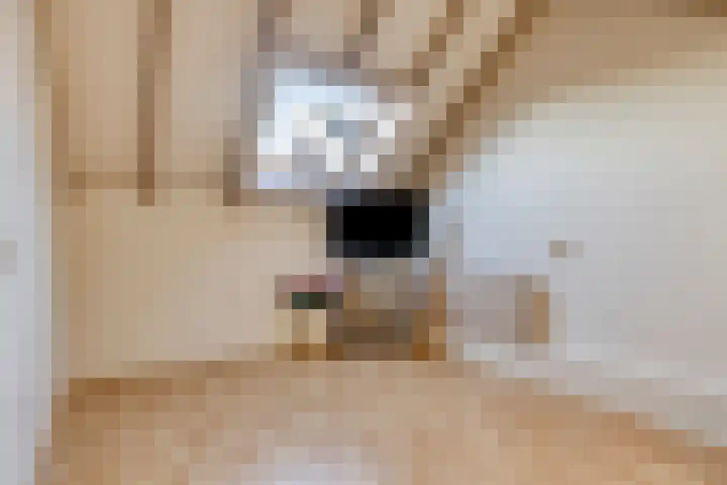 Binnengeest 28 Akersloot thumbnail 22