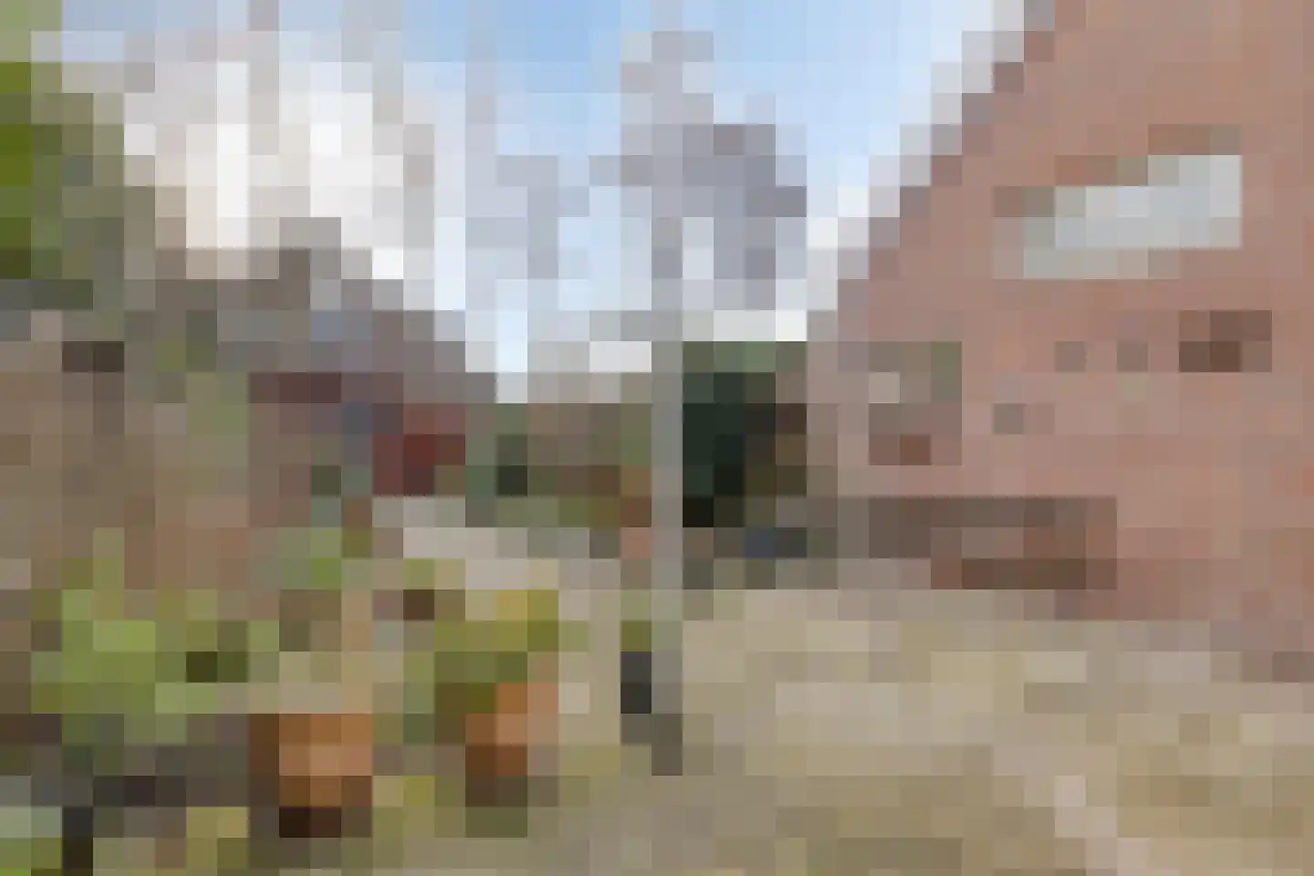 Binnengeest 28 Akersloot thumbnail 28