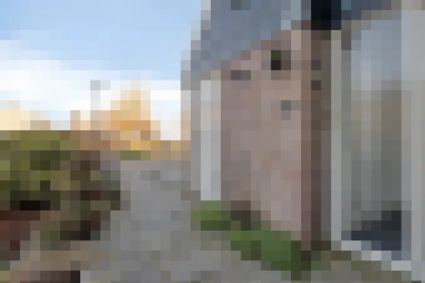 Binnengeest 28 Akersloot thumbnail 29