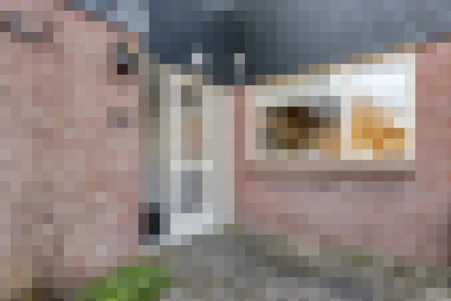 Binnengeest 28 Akersloot thumbnail 30