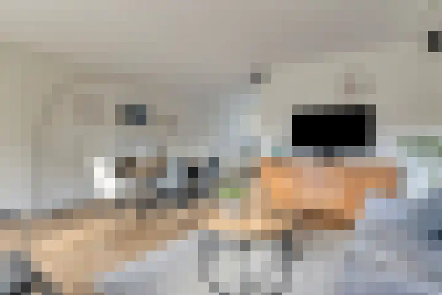 Binnengeest 28 Akersloot thumbnail 4