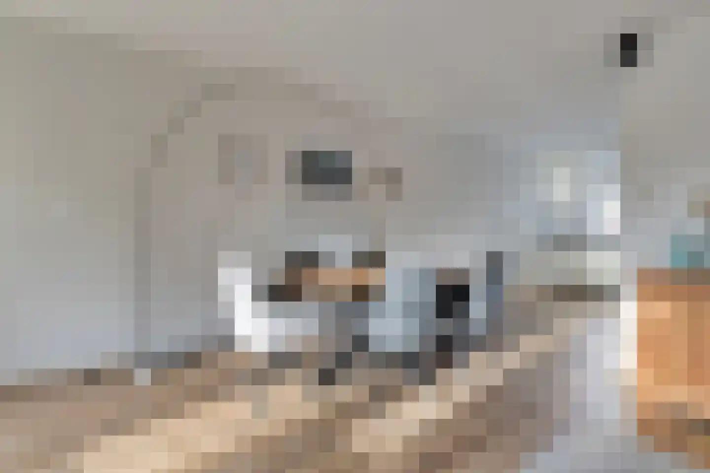 Binnengeest 28 Akersloot thumbnail 6