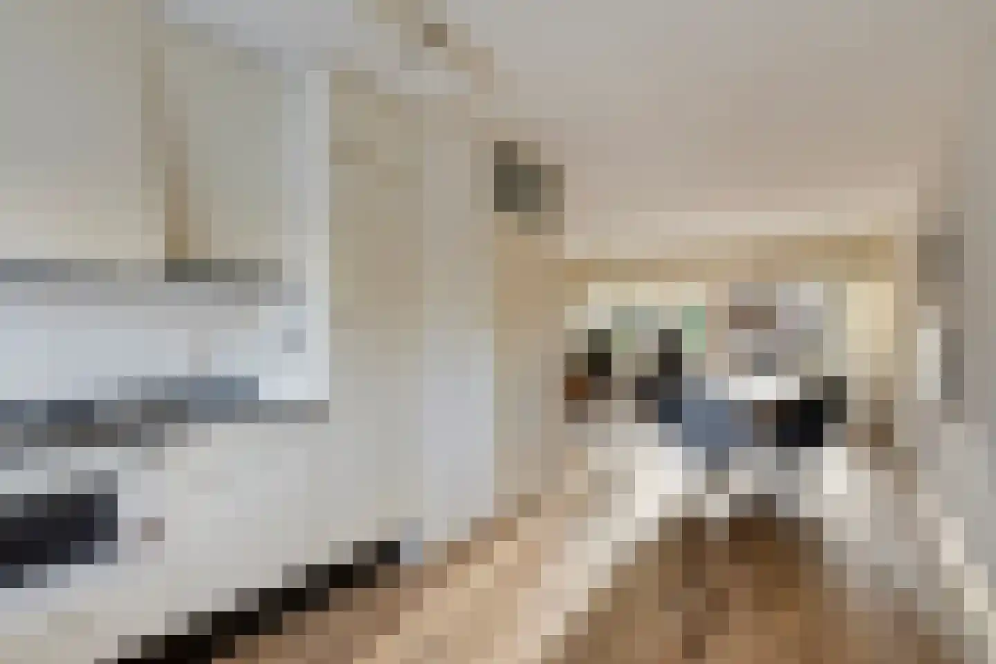 Binnengeest 28 Akersloot thumbnail 7