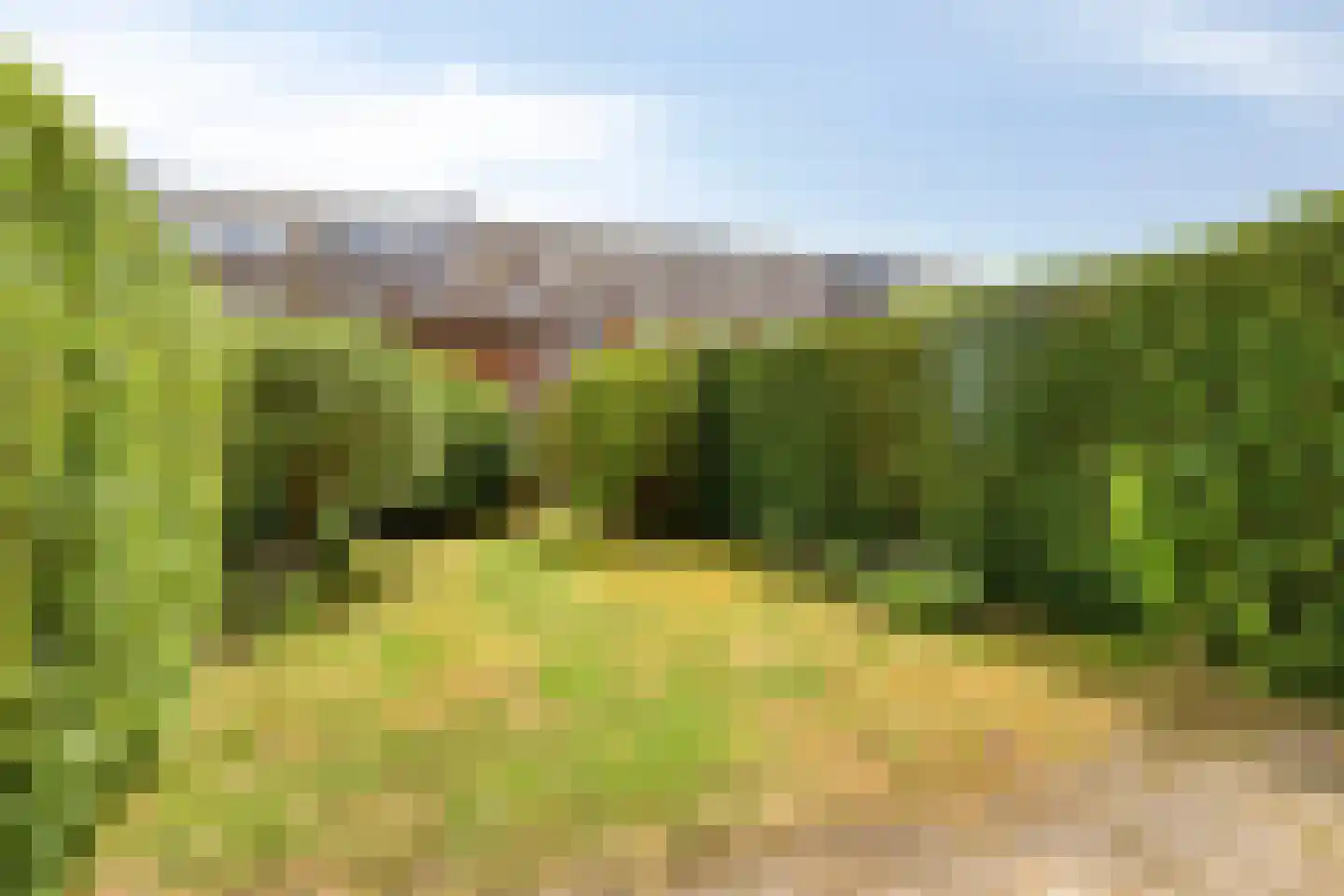 Binnengracht 23 Rhoon thumbnail 11