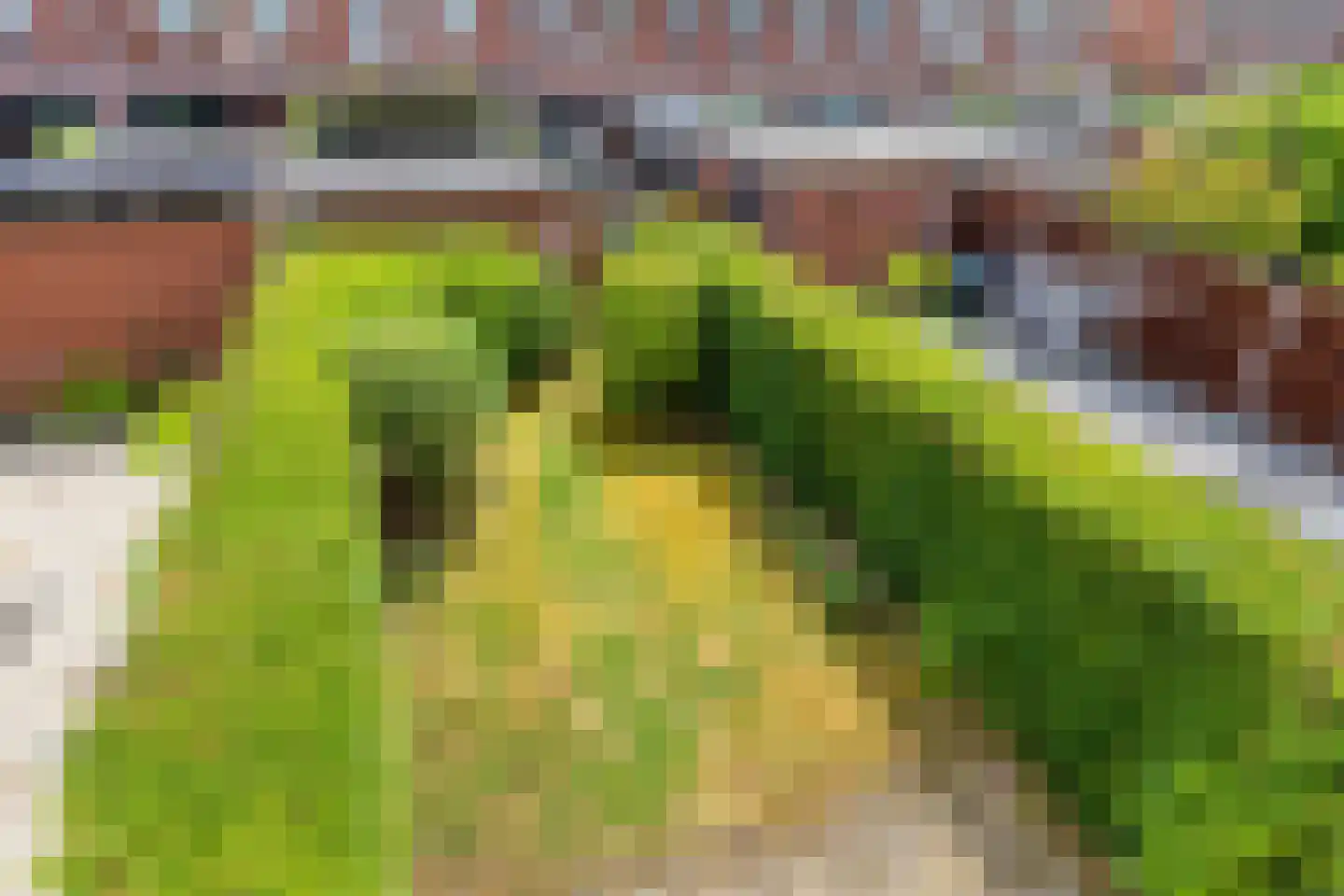 Binnengracht 23 Rhoon thumbnail 33