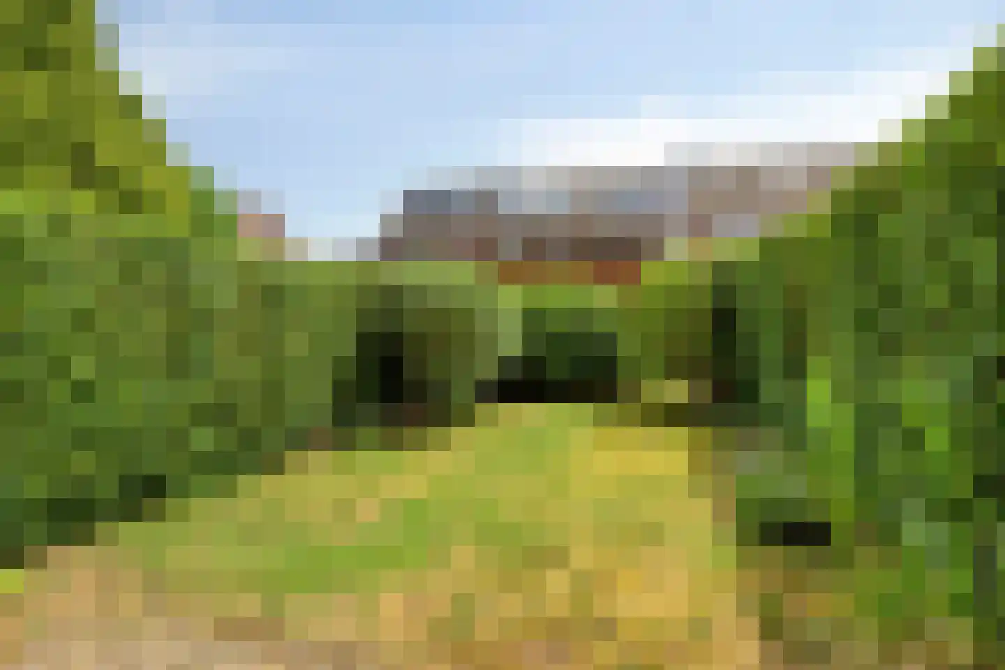 Binnengracht 23 Rhoon thumbnail 34