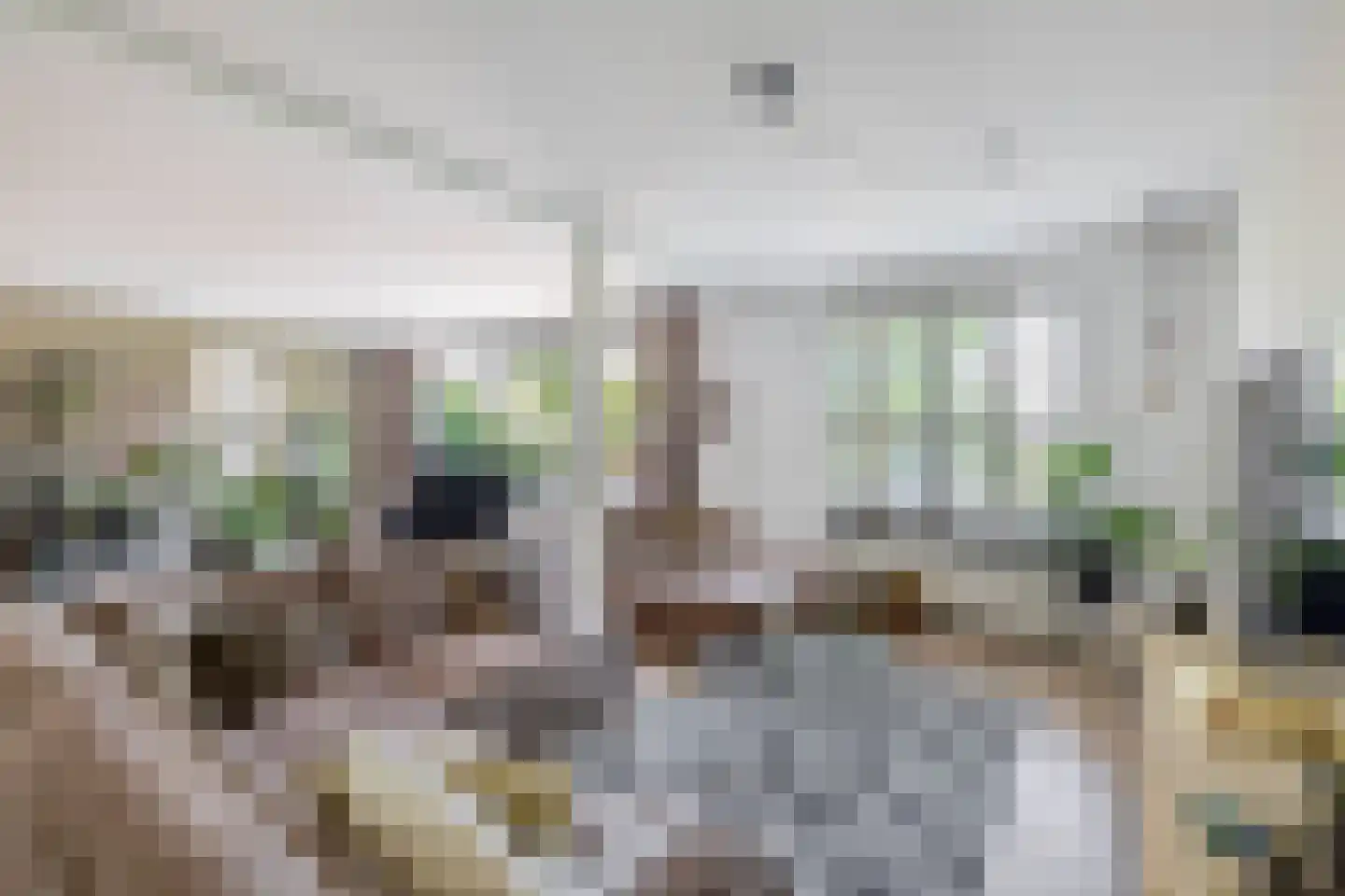 Binnengracht 8 Rhoon thumbnail 18
