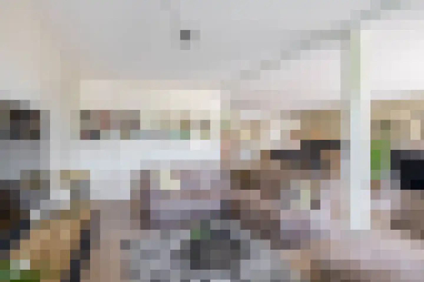 Binnengracht 8 Rhoon thumbnail 19
