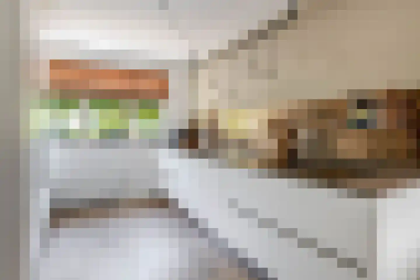 Binnengracht 8 Rhoon thumbnail 22