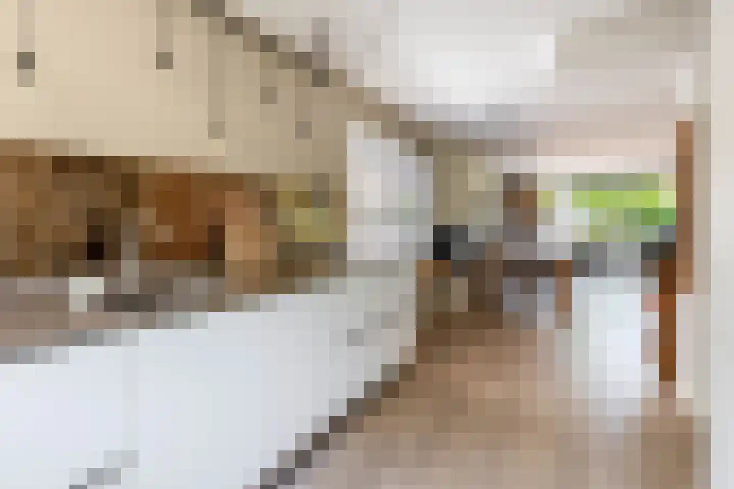 Binnengracht 8 Rhoon thumbnail 24