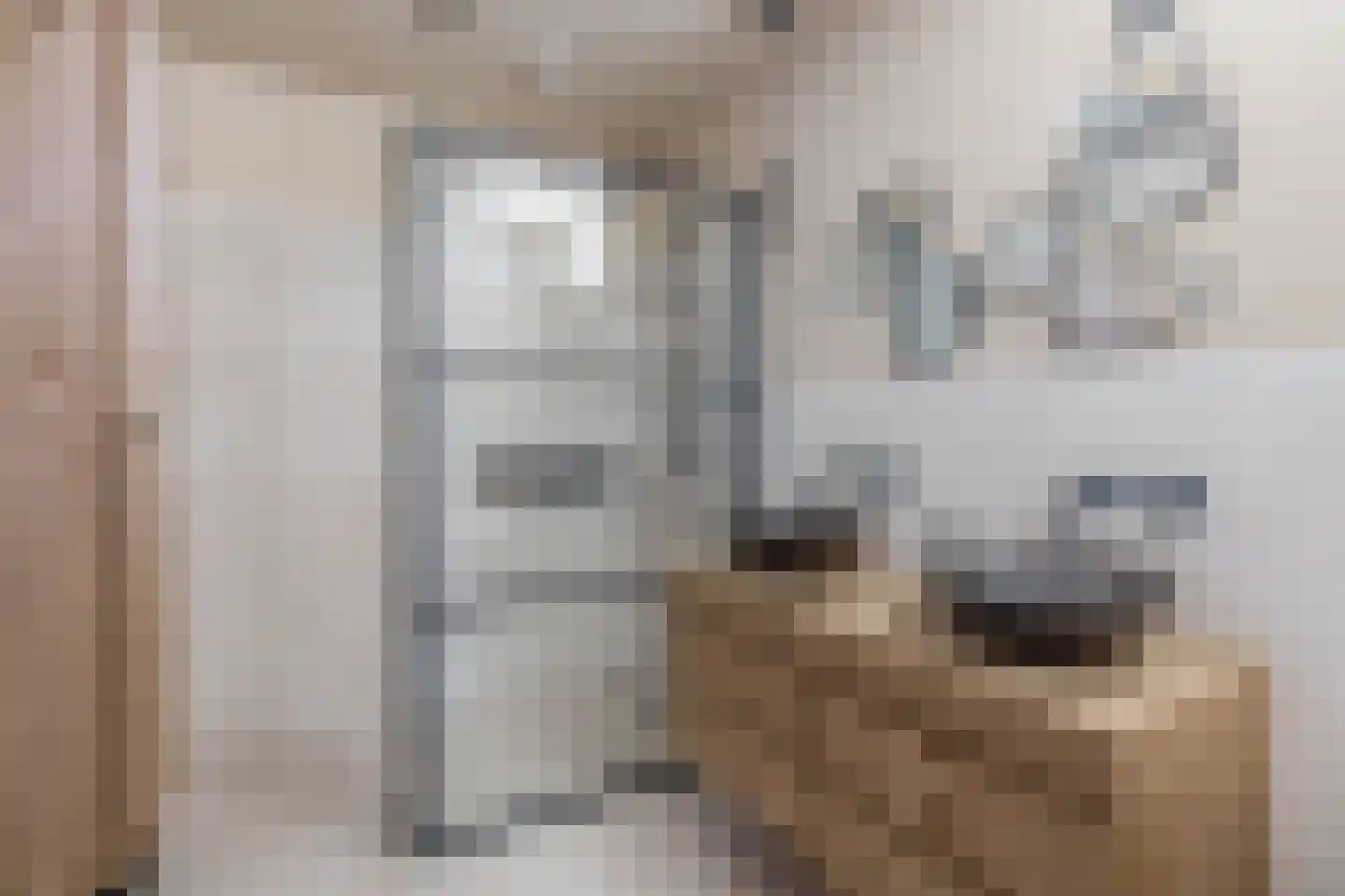 Binnengracht 8 Rhoon thumbnail 31