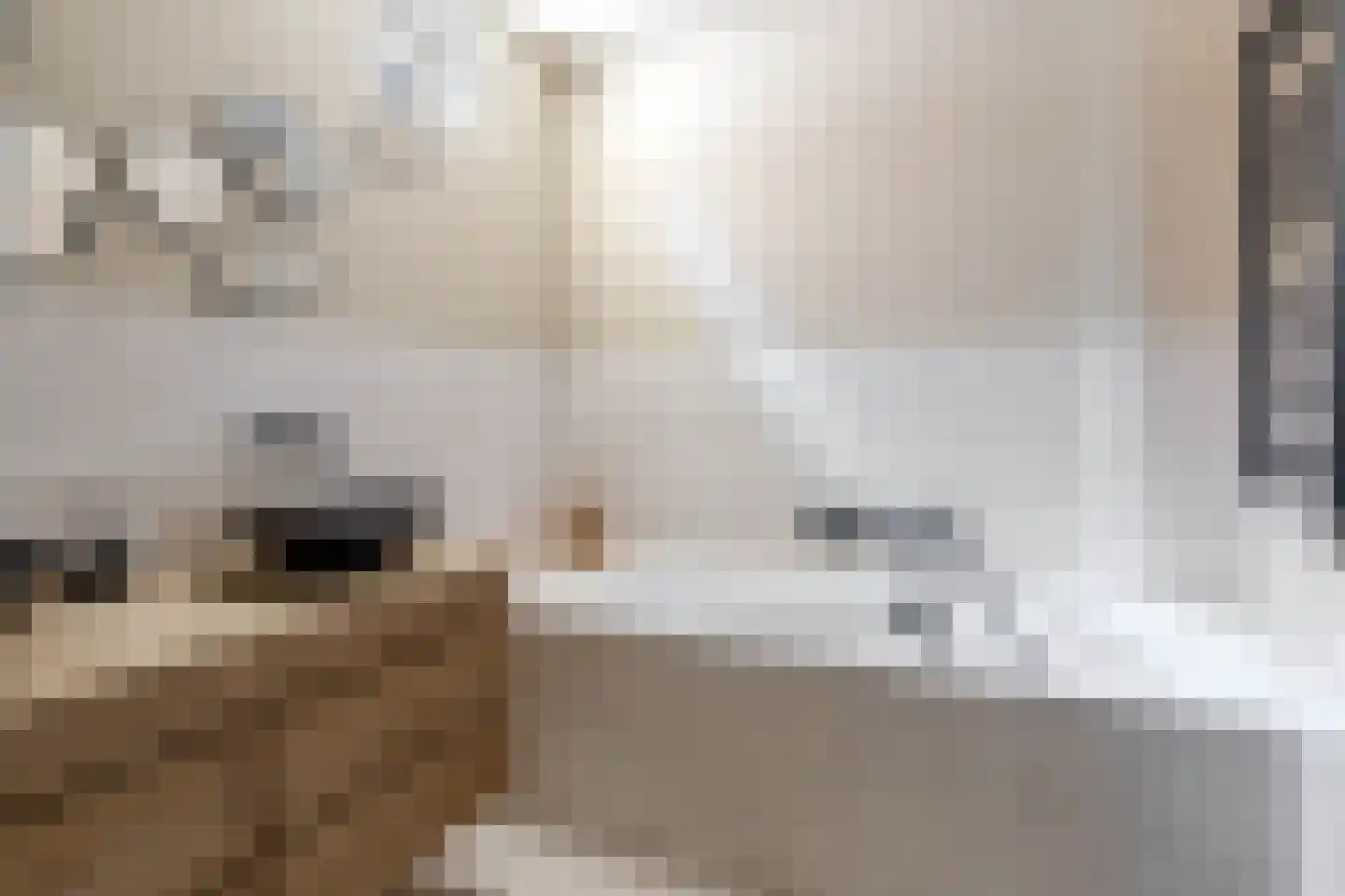 Binnengracht 8 Rhoon thumbnail 32