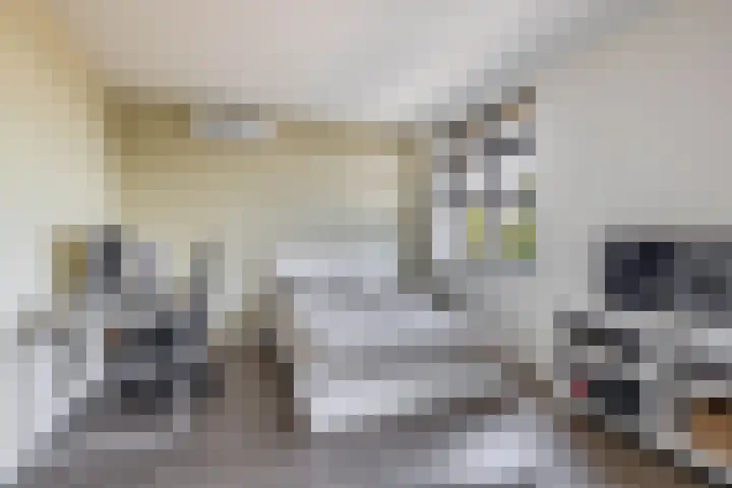 Binnengracht 8 Rhoon thumbnail 34