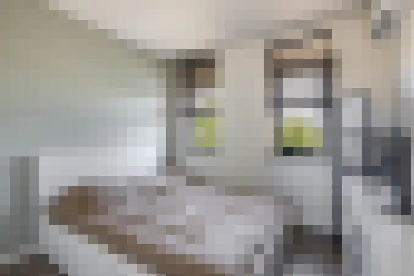 Binnengracht 8 Rhoon thumbnail 38