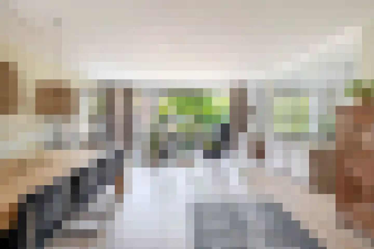 Binnengracht 8 Rhoon thumbnail 4