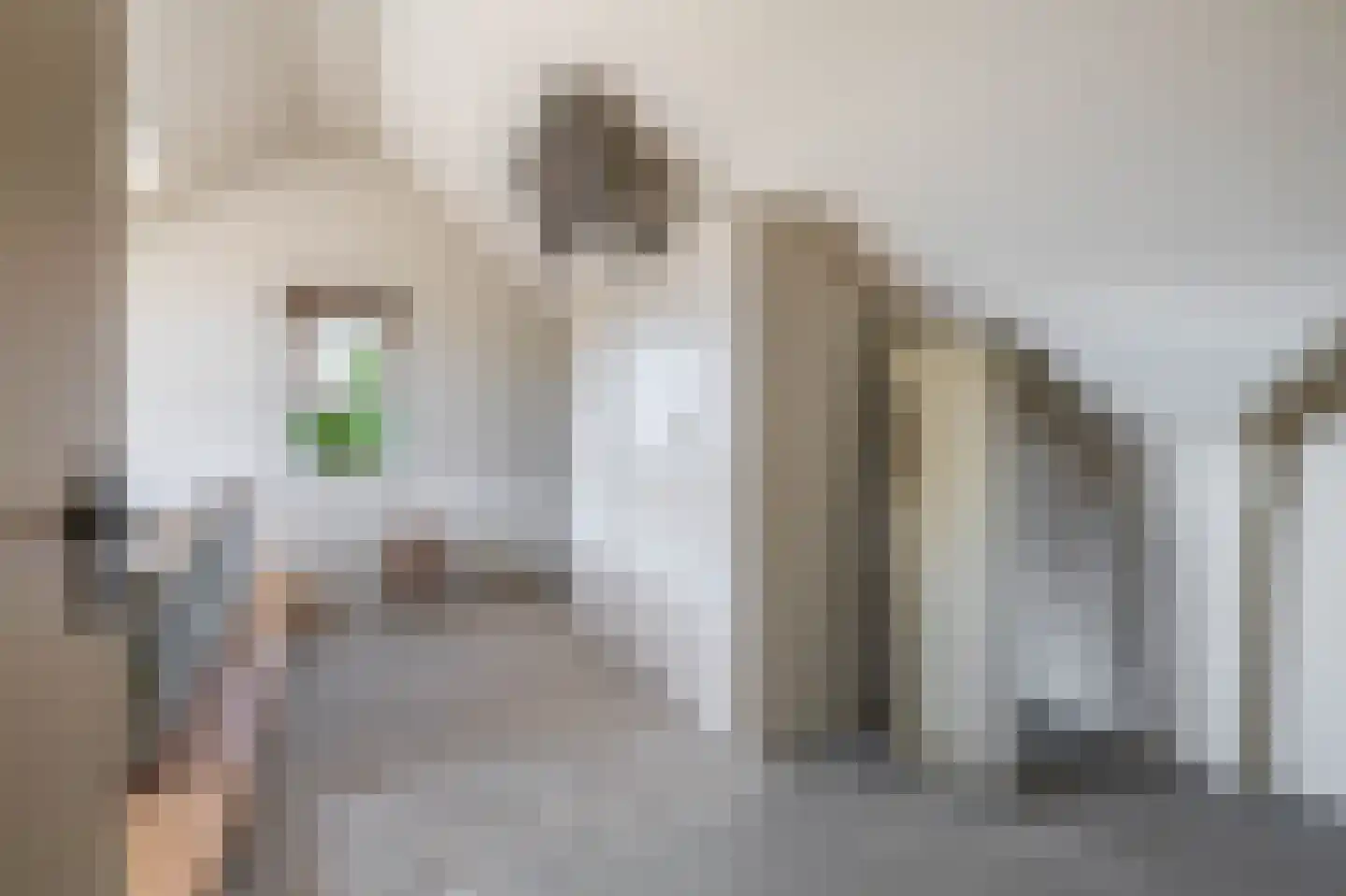 Binnengracht 8 Rhoon thumbnail 41
