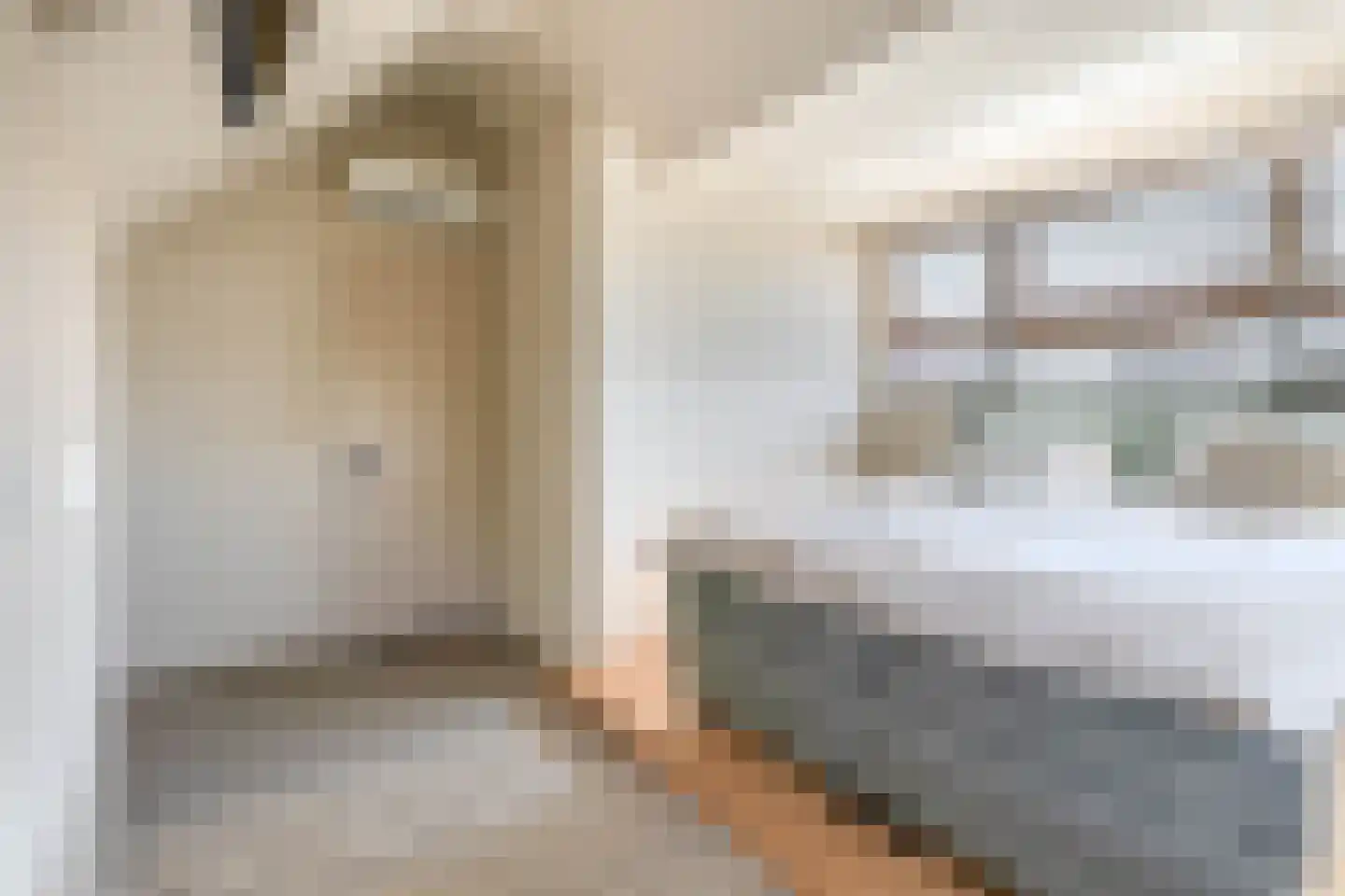 Binnengracht 8 Rhoon thumbnail 42