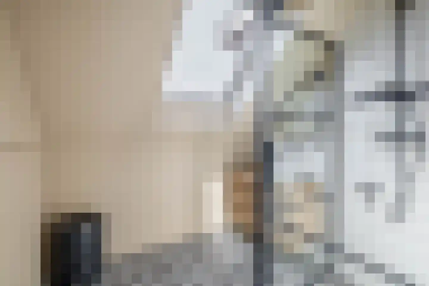 Binnengracht 8 Rhoon thumbnail 43