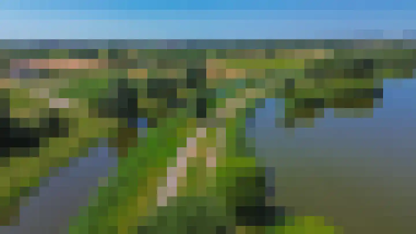 Binnengracht 8 Rhoon thumbnail 49