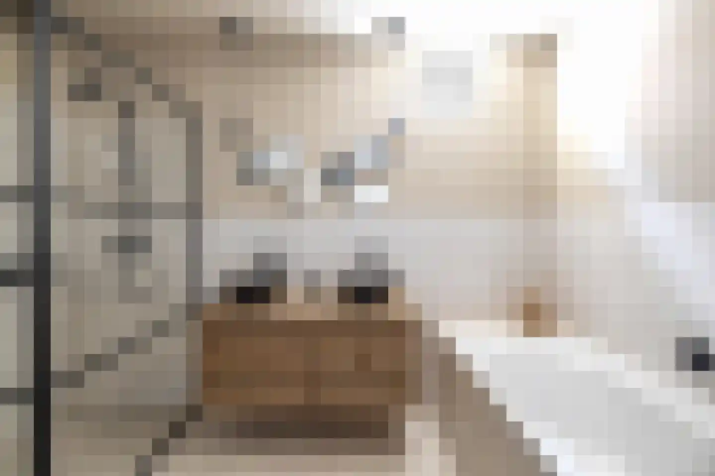 Binnengracht 8 Rhoon thumbnail 6