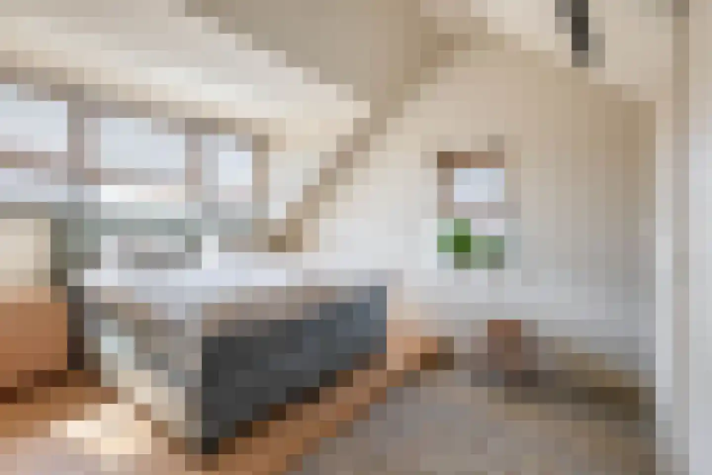 Binnengracht 8 Rhoon thumbnail 7