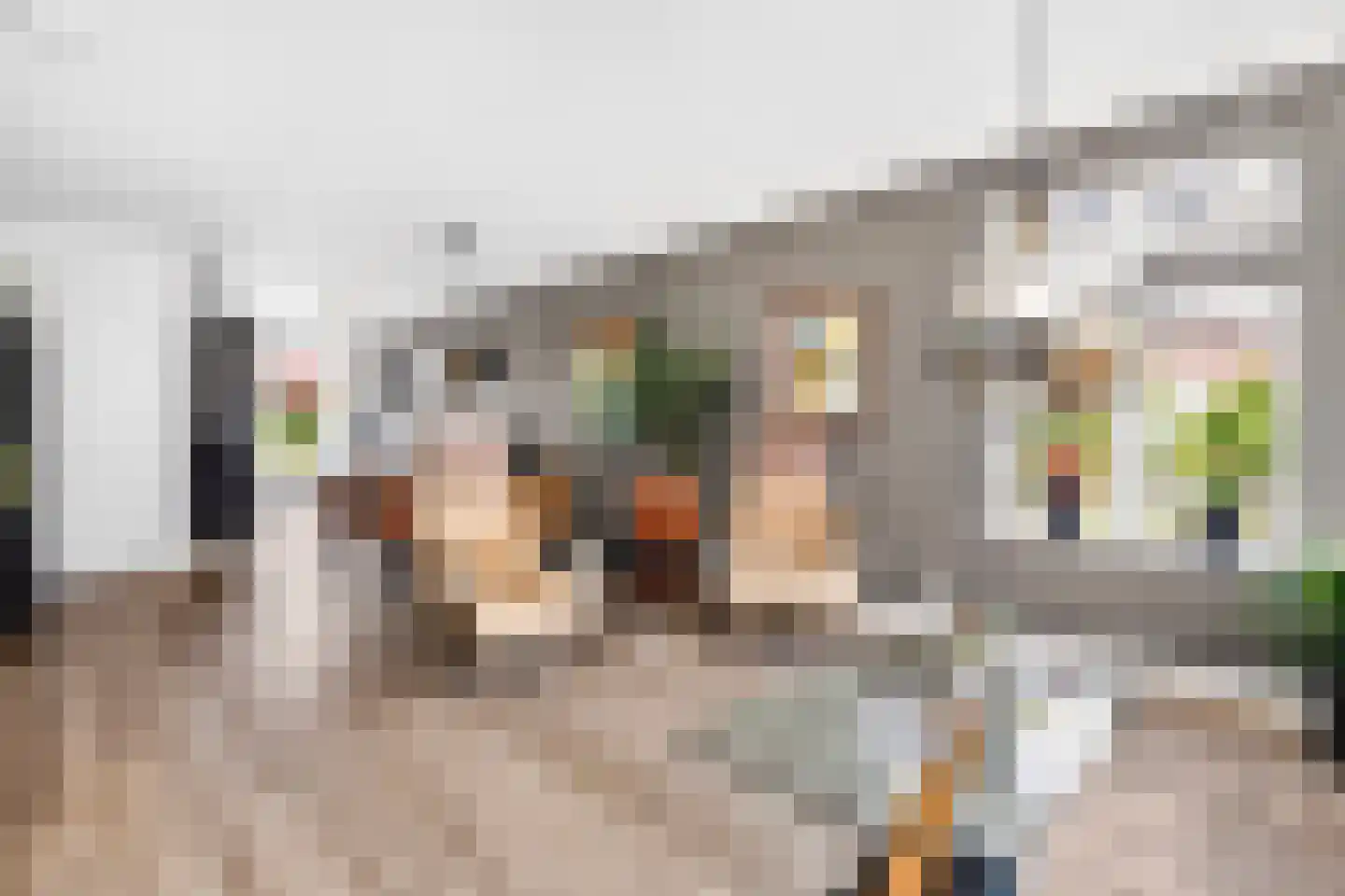 Binnengrachthof 2 Hoef en Haag thumbnail 10