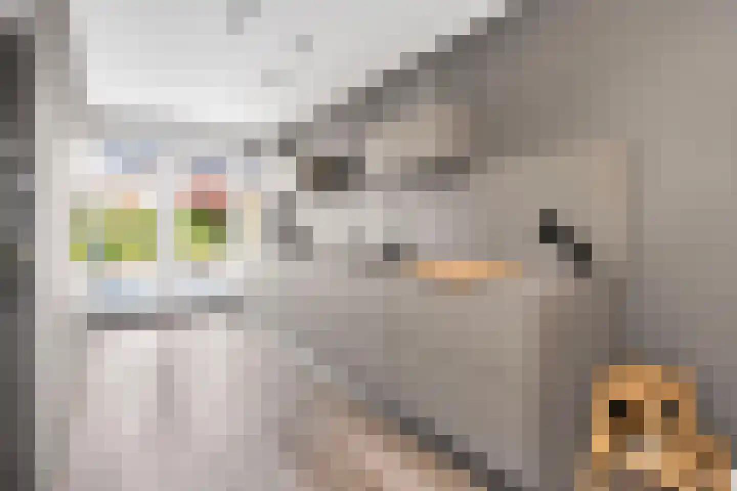 Binnengrachthof 2 Hoef en Haag thumbnail 13