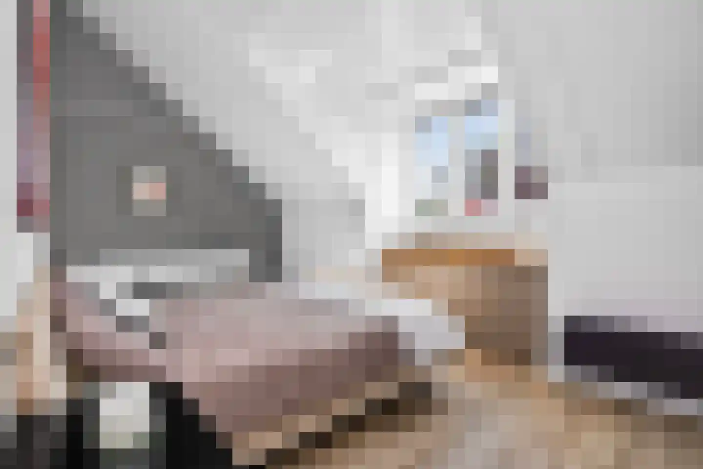 Binnengrachthof 2 Hoef en Haag thumbnail 30