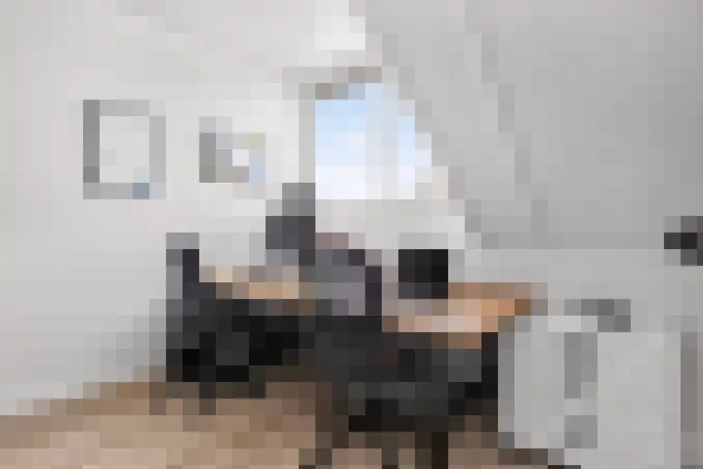Binnengrachthof 2 Hoef en Haag thumbnail 35