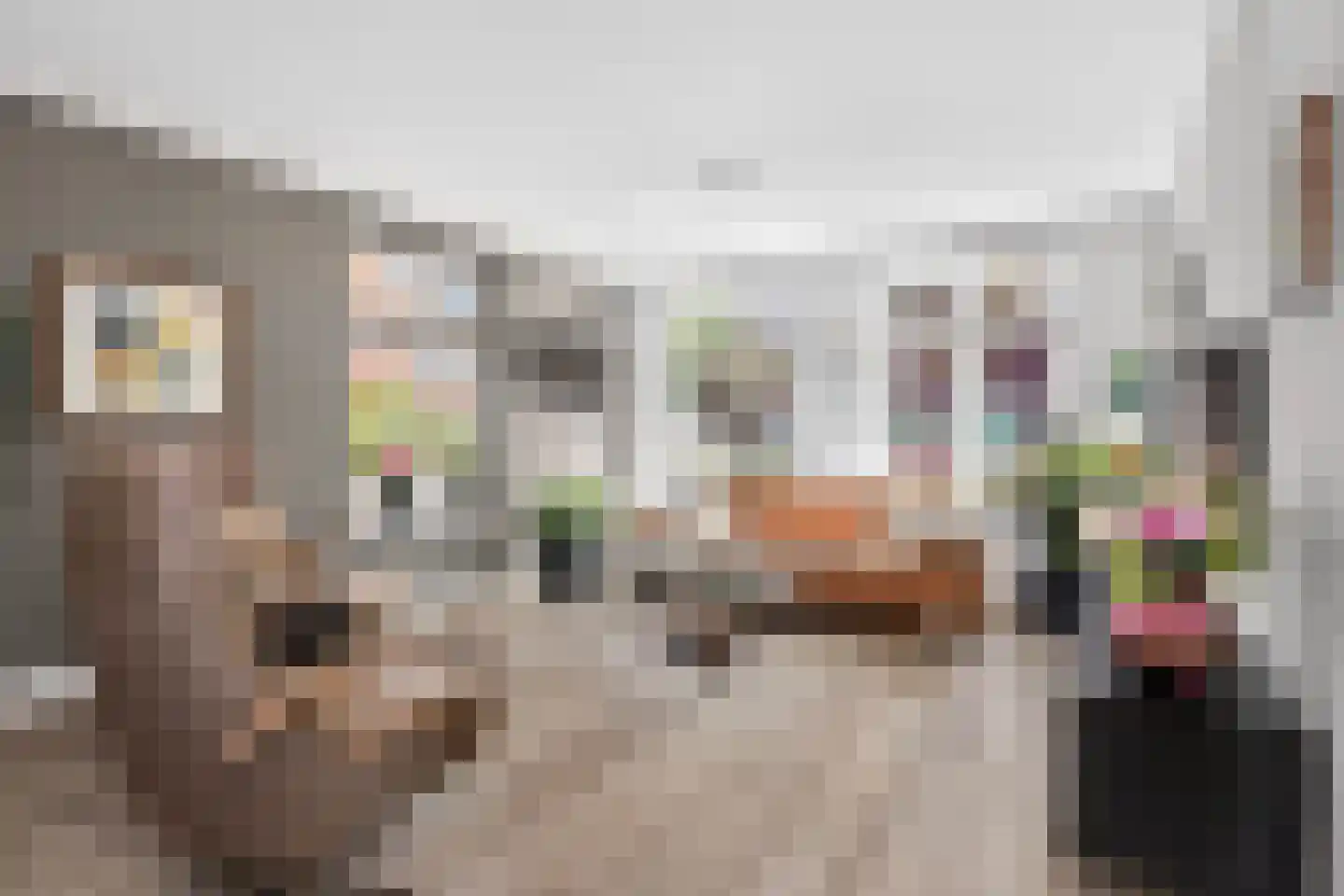 Binnengrachthof 2 Hoef en Haag thumbnail 9