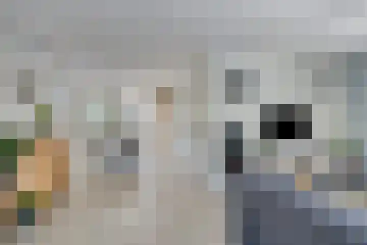 Binnenhagen 15 Goor thumbnail 11