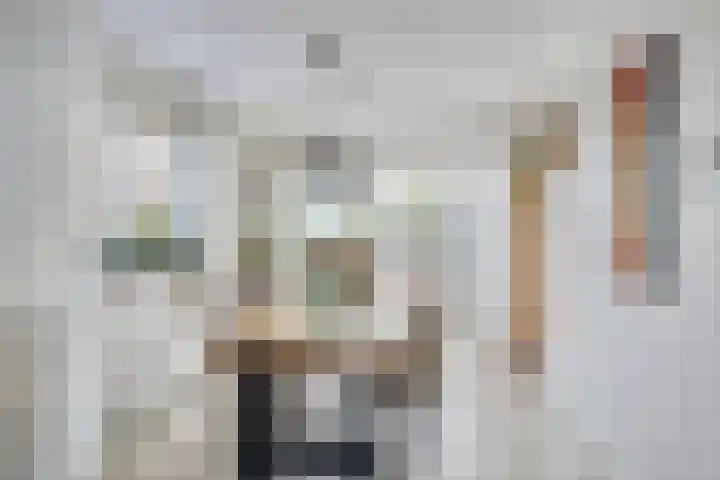 Binnenhagen 15 Goor thumbnail 12