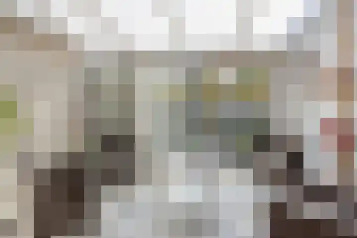 Binnenhagen 15 Goor thumbnail 14
