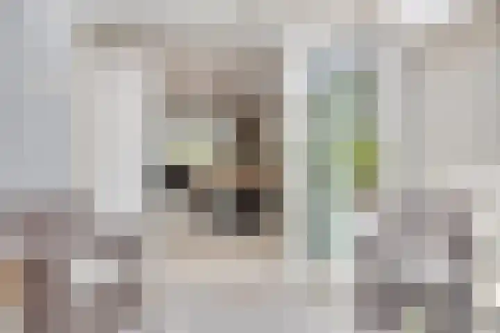 Binnenhagen 15 Goor thumbnail 15