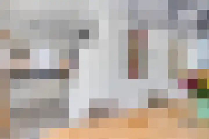 Binnenhagen 15 Goor thumbnail 16