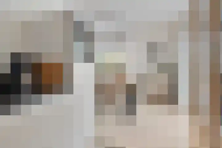 Binnenhagen 15 Goor thumbnail 19
