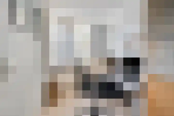 Binnenhagen 15 Goor thumbnail 22