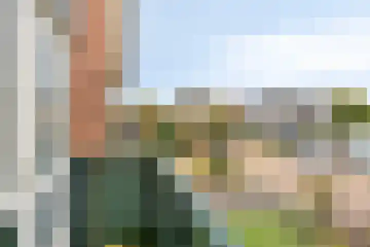 Binnenhagen 15 Goor thumbnail 33