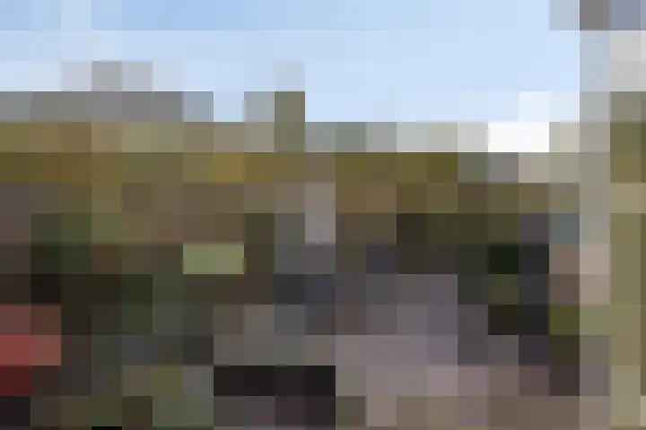 Binnenhagen 15 Goor thumbnail 46