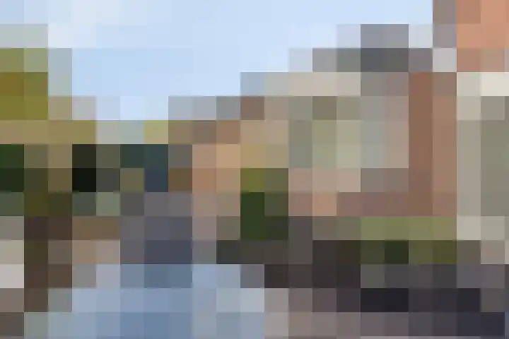 Binnenhagen 15 Goor thumbnail 47