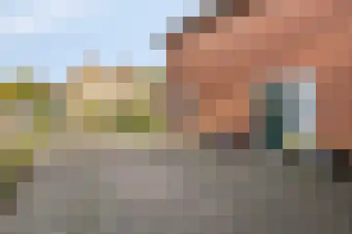 Binnenhagen 15 Goor thumbnail 5