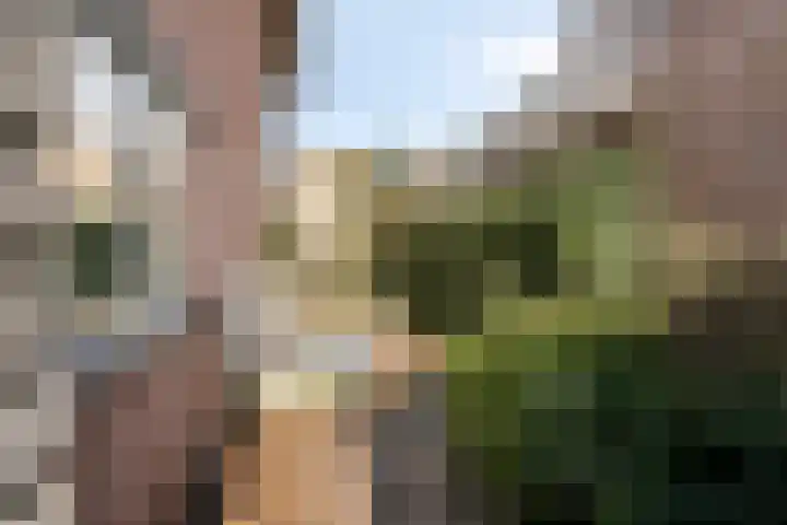 Binnenhagen 15 Goor thumbnail 52