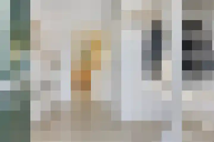 Binnenhagen 15 Goor thumbnail 6