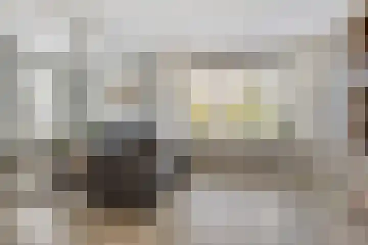 Binnenhagen 15 Goor thumbnail 8
