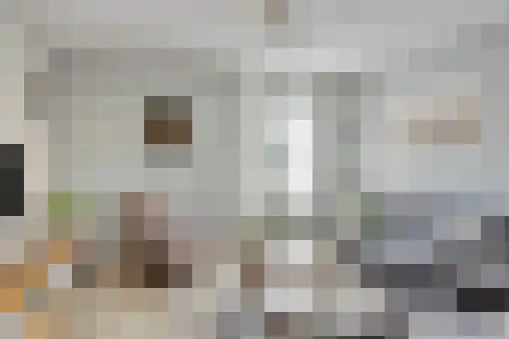 Binnenhagen 15 Goor thumbnail 9