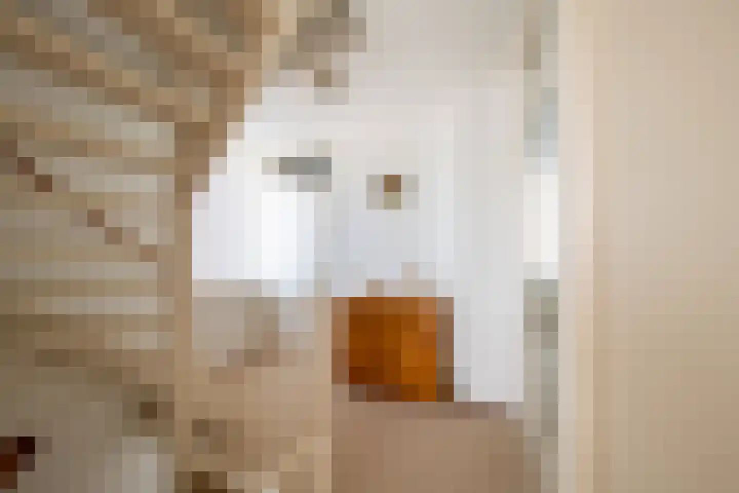 Binnenhagen 20 Goor thumbnail 10