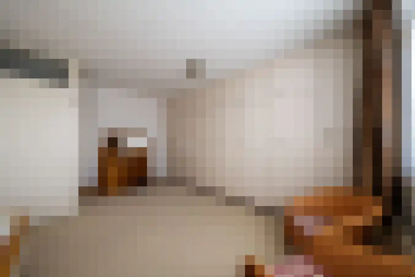 Binnenhagen 20 Goor thumbnail 13