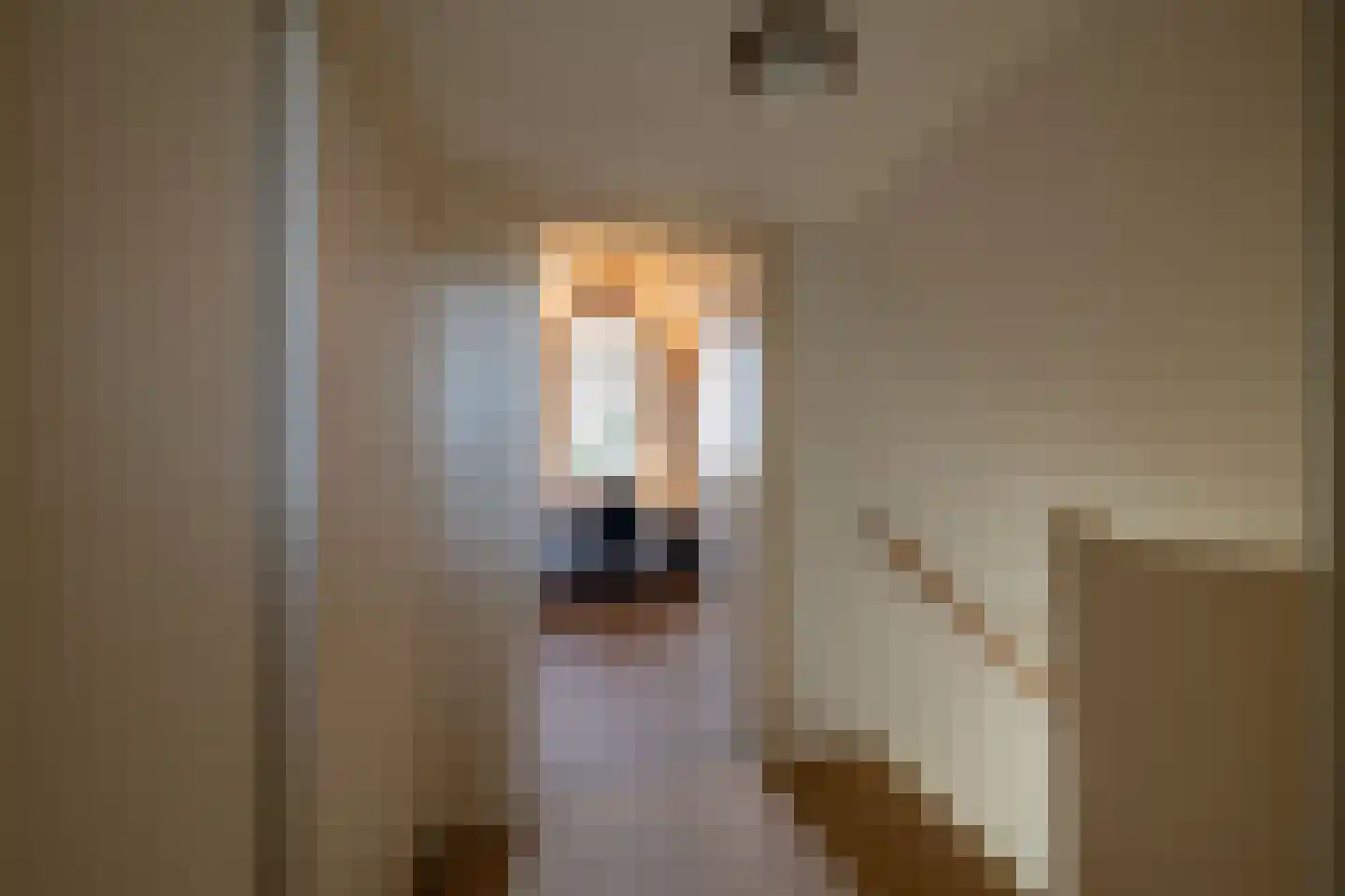 Binnenhagen 20 Goor thumbnail 17