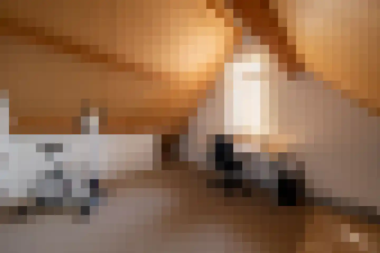 Binnenhagen 20 Goor thumbnail 18