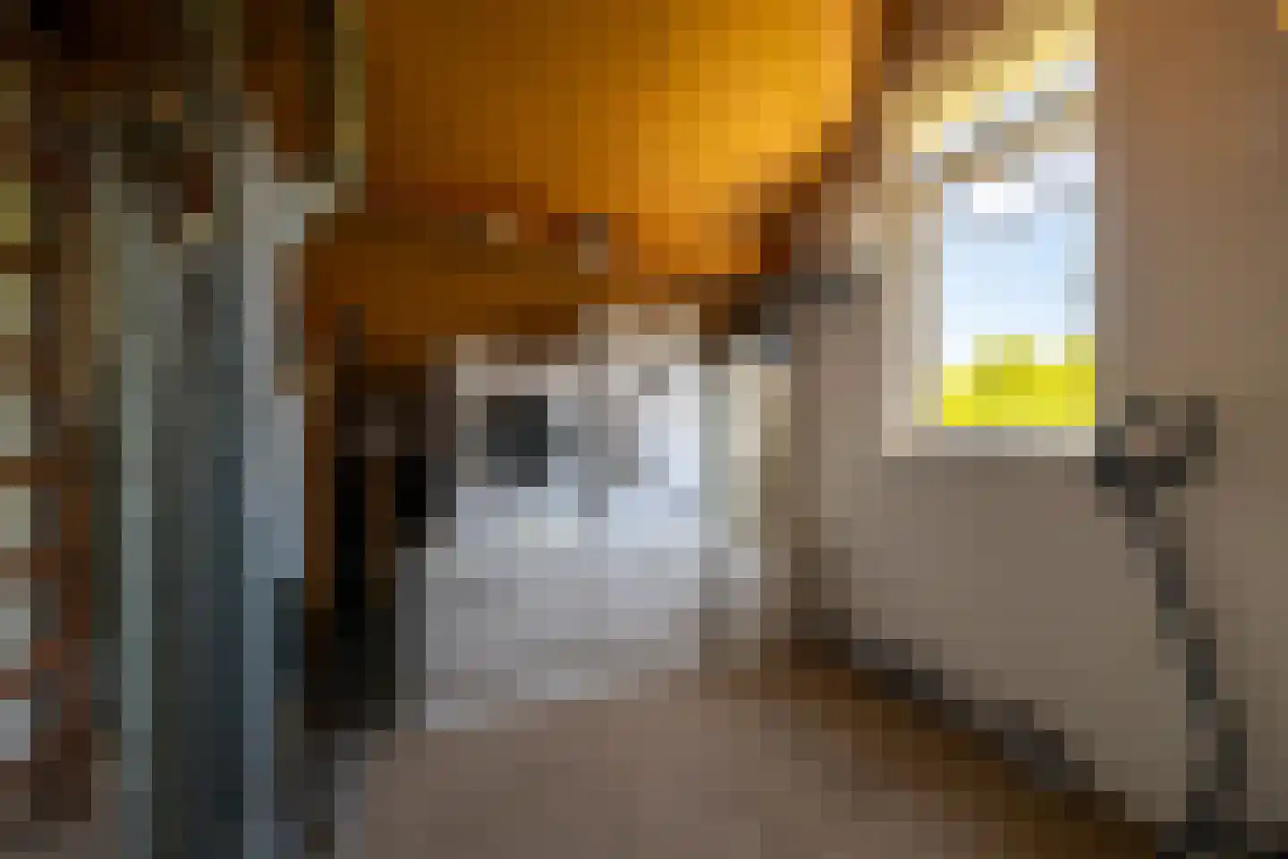 Binnenhagen 20 Goor thumbnail 20